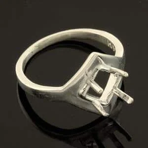 Side-Set Princess Pre-notched Ring Mounting
